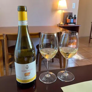 Benebene2010 대표 사진