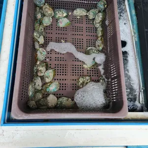 신옛촌 리뷰 사진