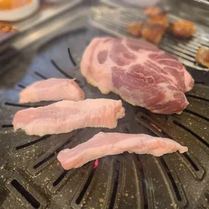 품격있는돼지 사진