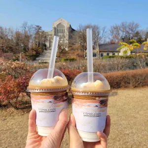카페코지 사진