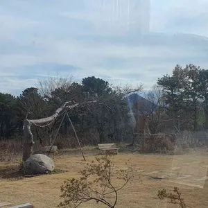 효효 리뷰 사진