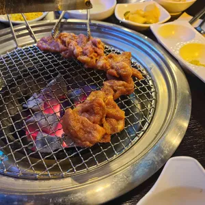 통통돼지 사진
