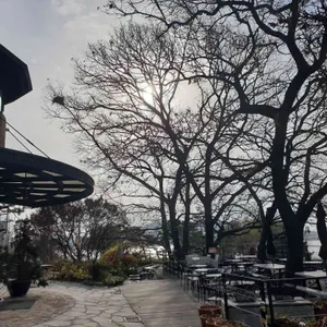 컬드삭 리뷰 사진