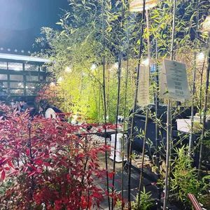 유담 리뷰 사진