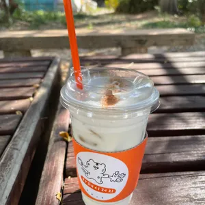 시저지 사진