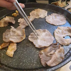 돼지대학교 사진