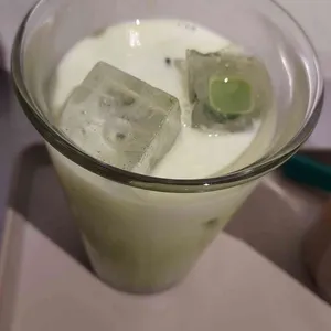 식물학 사진