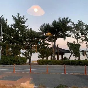어보 리뷰 사진