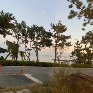 어보 리뷰 사진