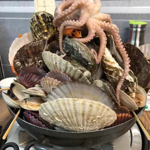 물찬조개 사진