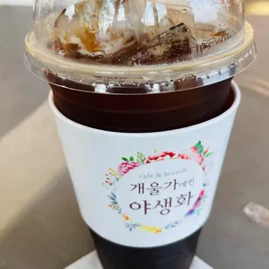 개울가에핀야생화 사진