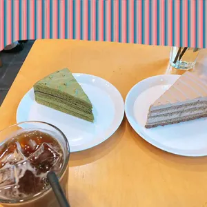 스노브 사진