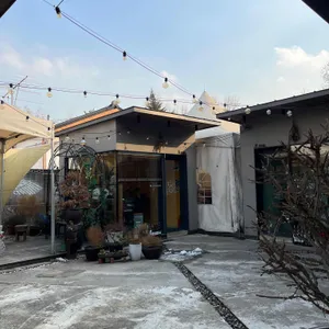 오스테리아 잭팟 리뷰 사진