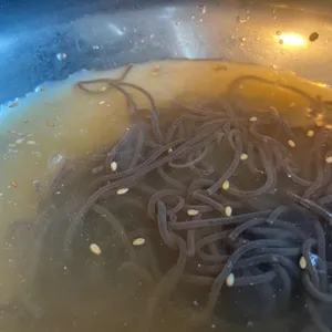 소판돈 사진