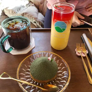 설월 사진