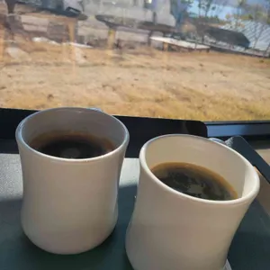 다르모 사진