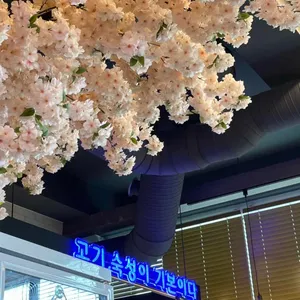 고기자리 대표 사진