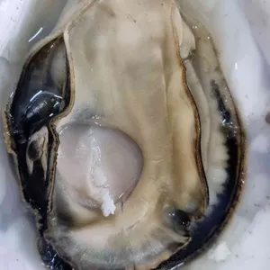 천북굴사랑수산 리뷰 사진