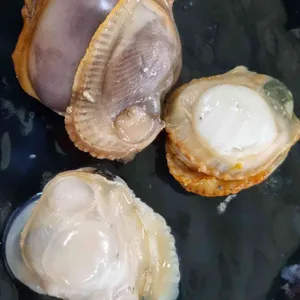 천북굴사랑수산 사진