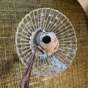 로바 리뷰 사진
