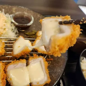 엘리카츠 사진
