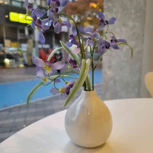 아브힐 리뷰 사진