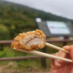 강남쌀닭강정 사진
