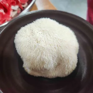 약초와 버섯골 사진
