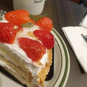 빵쌤 사진