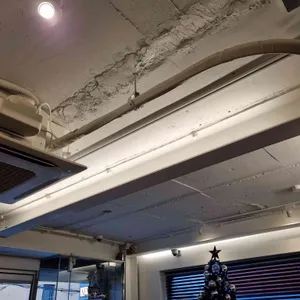 센티넬 리뷰 사진