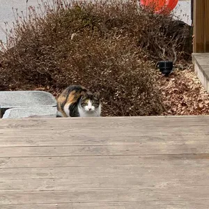 매주리커피 리뷰 사진