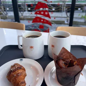 할로우 사진