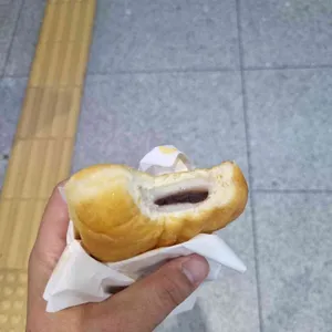 파파도나스 사진