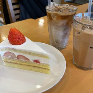스노브 사진
