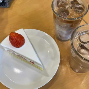 스노브 사진