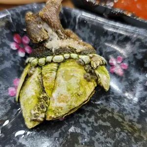 거문도 사진
