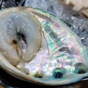 거문도 사진