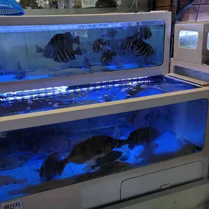 거문도 리뷰 사진