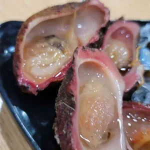 거문도 리뷰 사진
