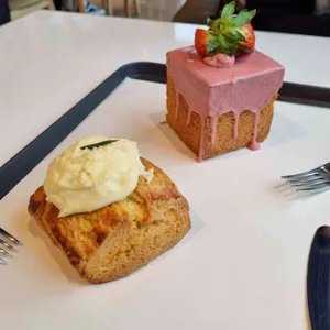 할로우 사진
