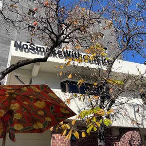 no smoke without fire 리뷰 사진