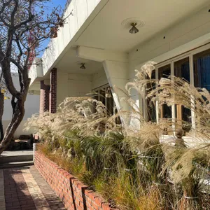 no smoke without fire 리뷰 사진