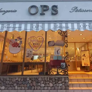 옵스 리뷰 사진