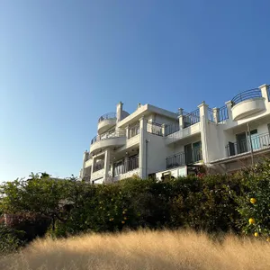 마노르블랑 리뷰 사진