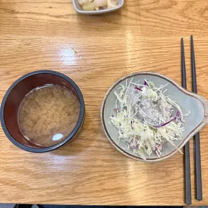 사카나 사진