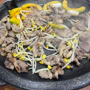 조선오리 사진