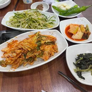 조선오리 사진
