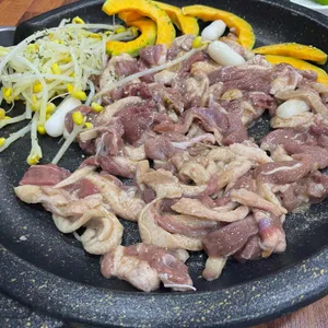 조선오리 사진