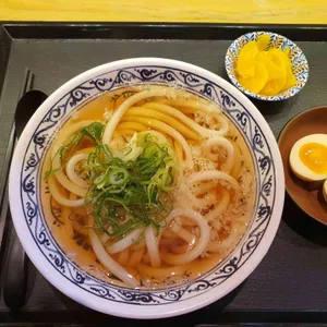 우동쯔요시 리뷰 사진