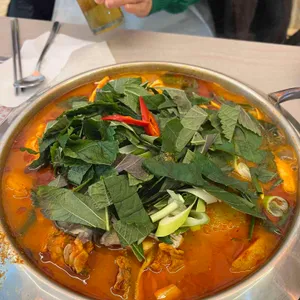 도리도리 사진